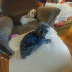 Meet your Posher, Patti